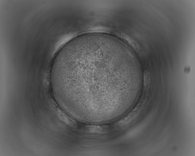 X0000090741405200708031536