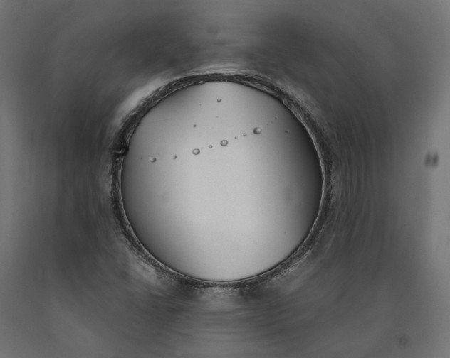 X0000090741406200708031536