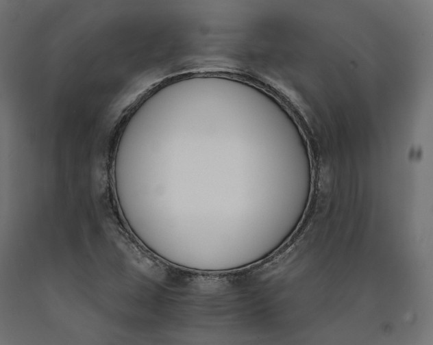 X0000090741407200708031536