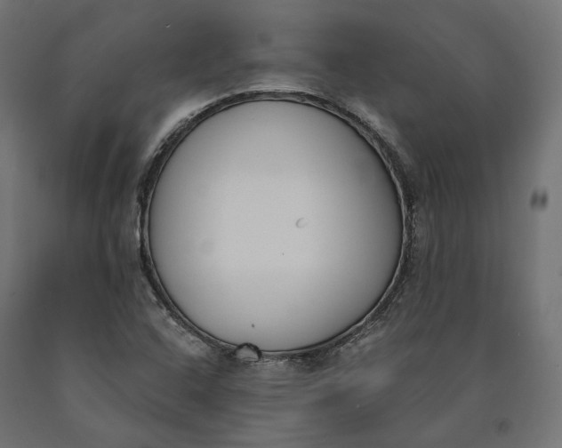 X0000090741408200708031536