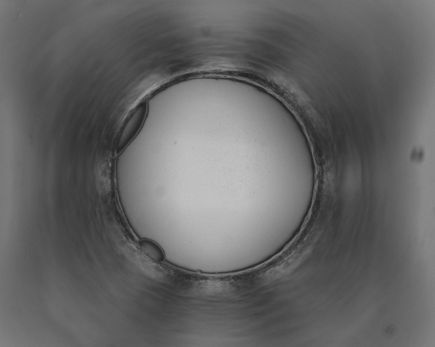 X0000090741409200708031536