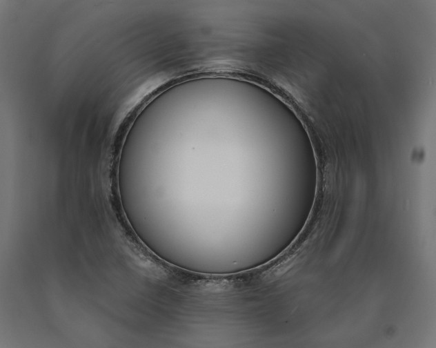 X0000090741410200708031536