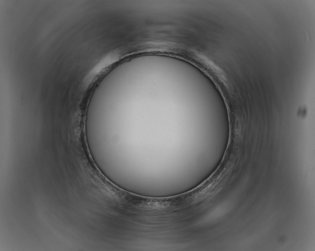 X0000090741411200708031536