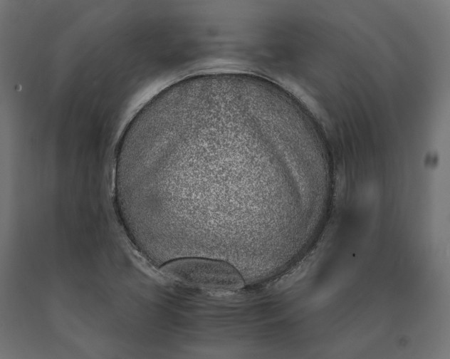 X0000090741413200708031536