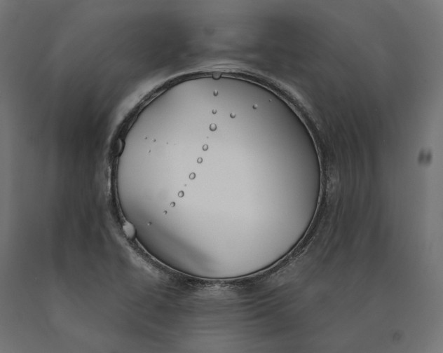 X0000090741414200708031536