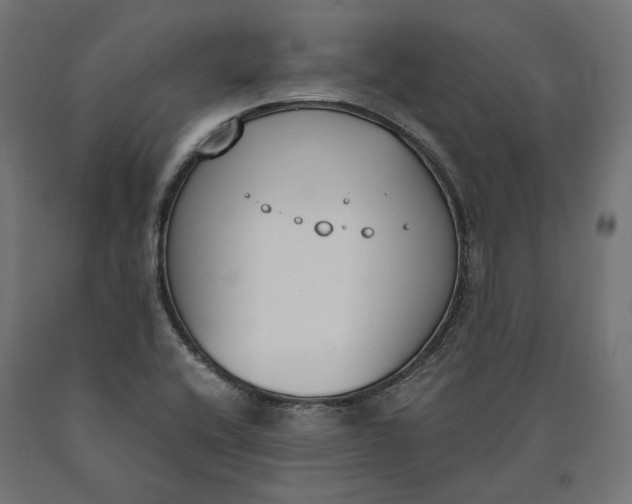 X0000090741416200708031536