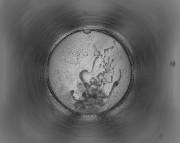 X0000090741417200708031536