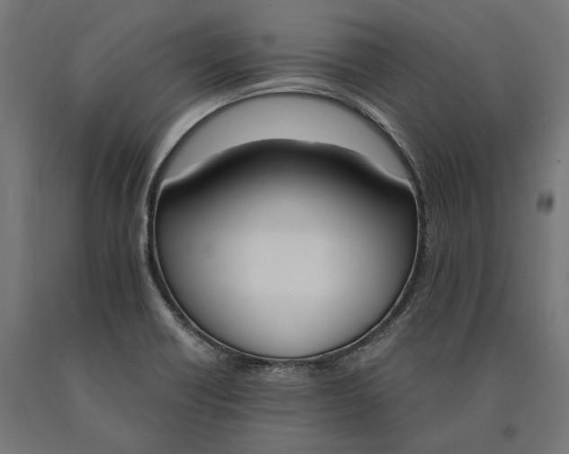 X0000090741418200708031536