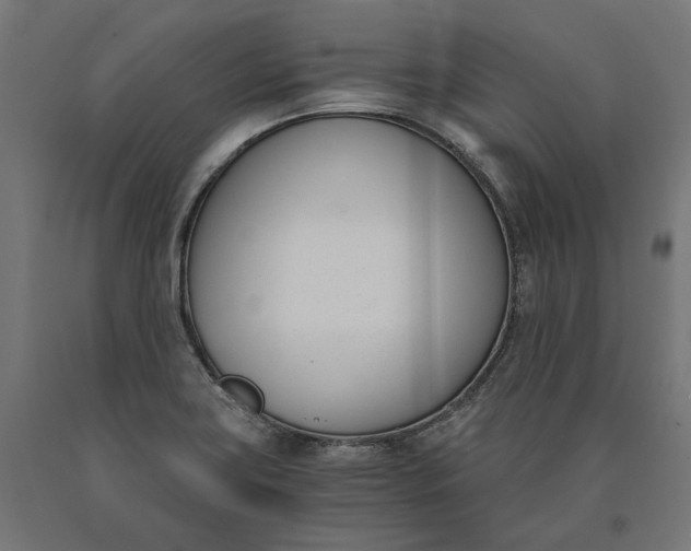 X0000090741419200708031536