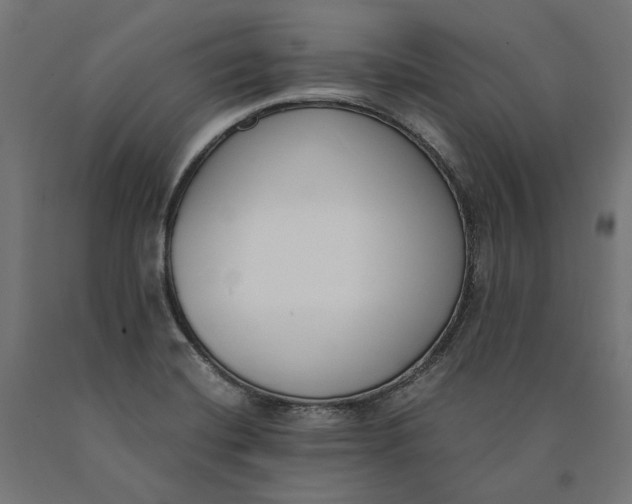 X0000090741420200708031536