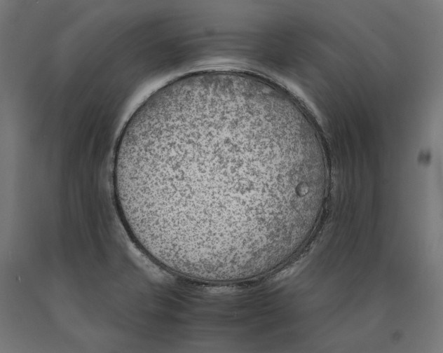 X0000090741421200708031536