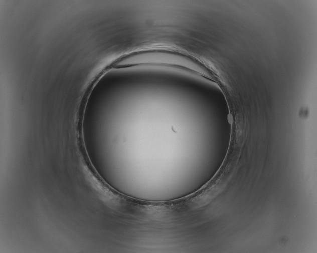 X0000090741422200708031536