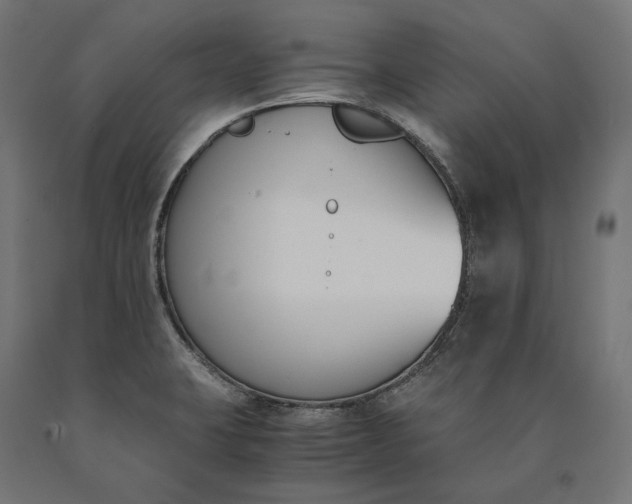 X0000090741423200708031536