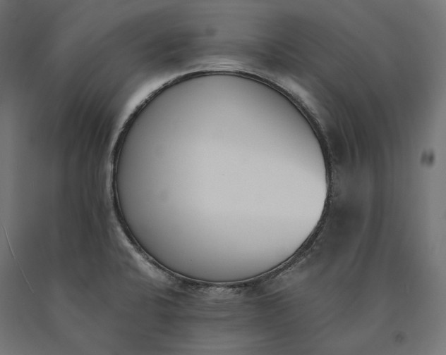 X0000090741424200708031536