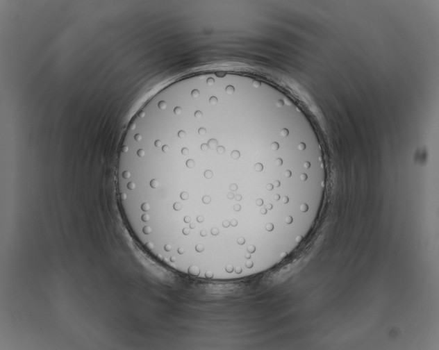 X0000090741425200708031536