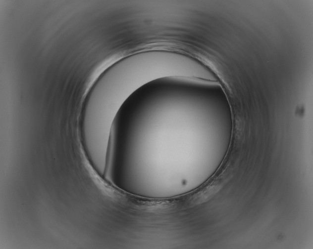 X0000090741426200708031536