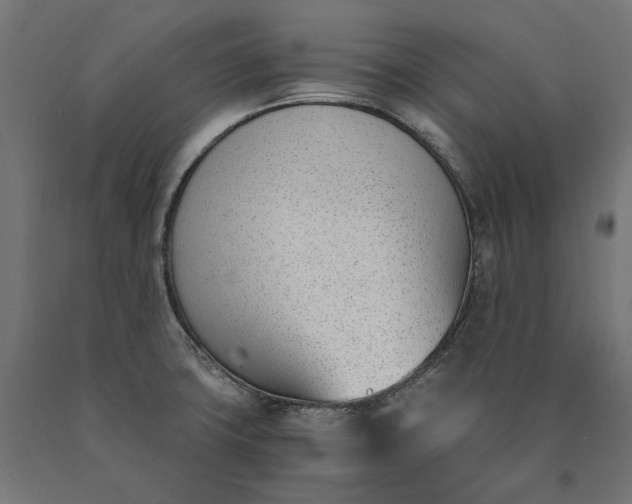 X0000090741427200708031536