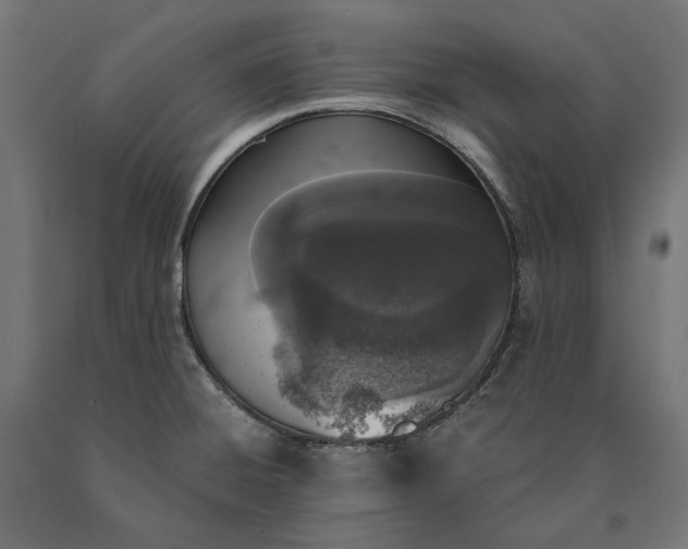 X0000090741428200708031536