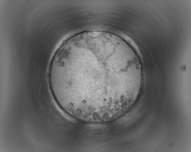 X0000090741429200708031536