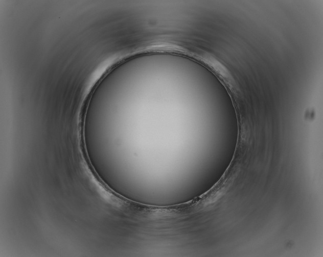 X0000090741430200708031536