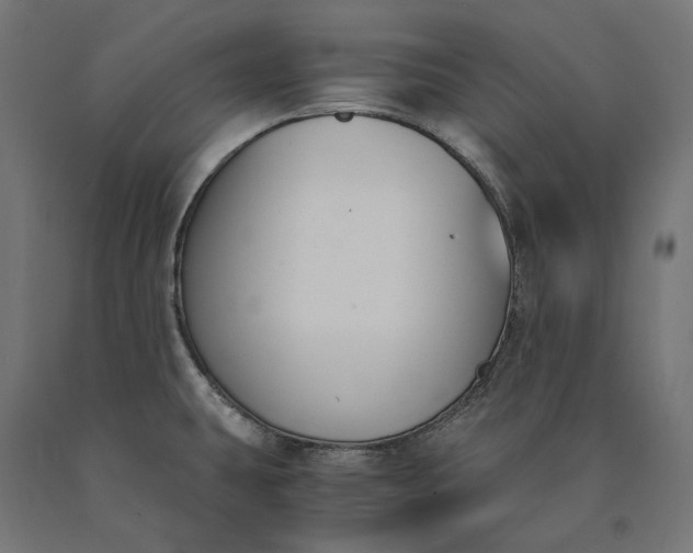 X0000090741431200708031536