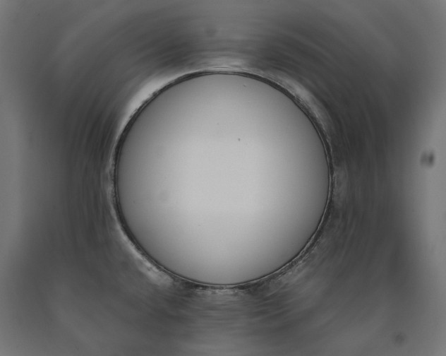 X0000090741432200708031536