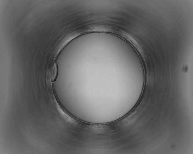 X0000090741433200708031536