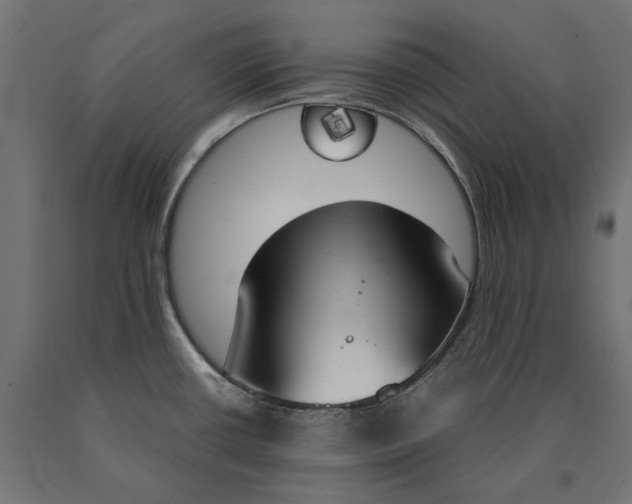 X0000090741434200708031536