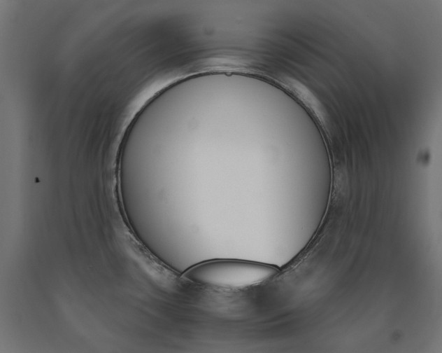 X0000090741435200708031536