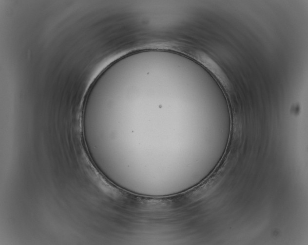 X0000090741436200708031536