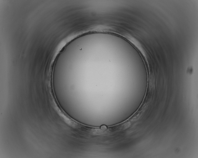 X0000090741437200708031536