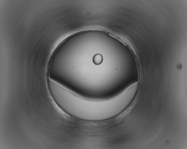 X0000090741438200708031536