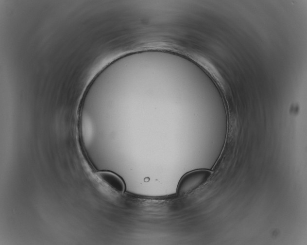 X0000090741439200708031536