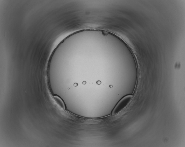 X0000090741440200708031536