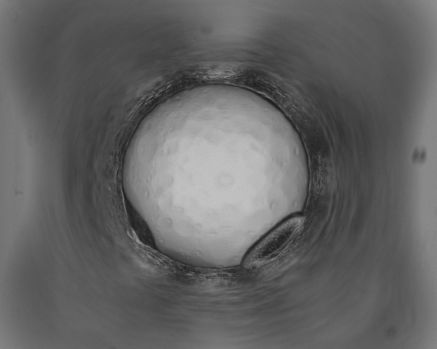 X0000090741441200708031536