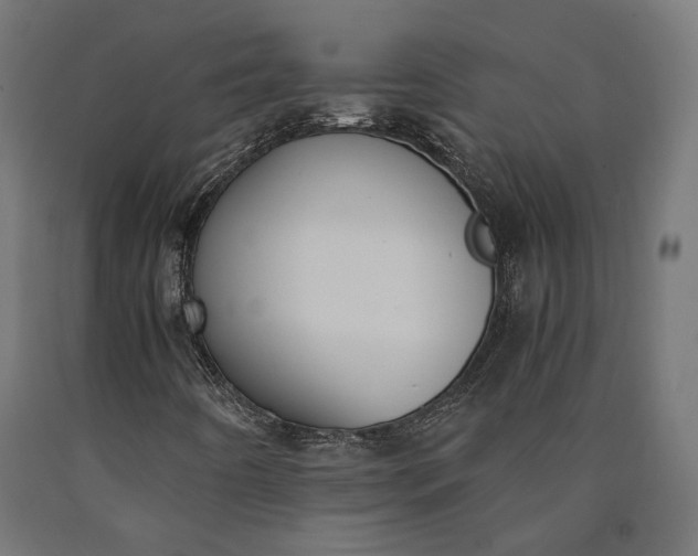 X0000090741442200708031535