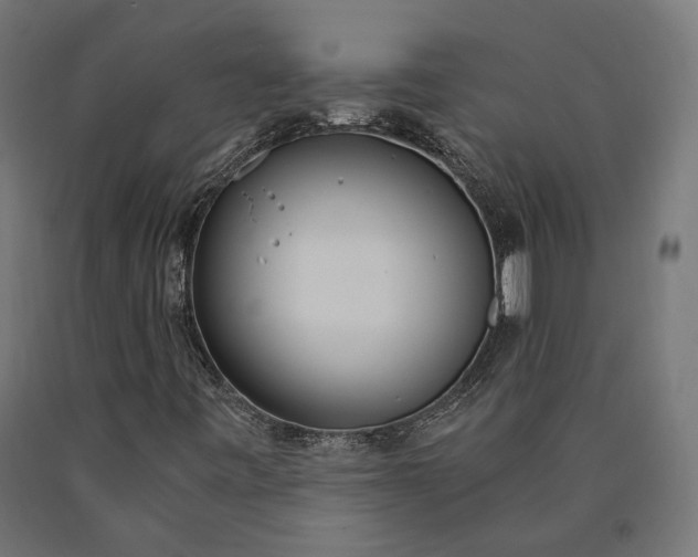 X0000090741443200708031535