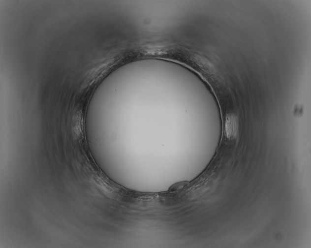 X0000090741444200708031535