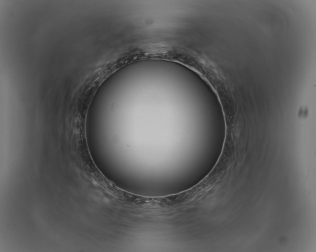 X0000090741445200708031535