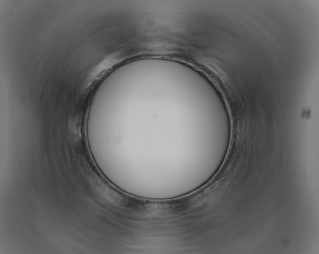 X0000090741451200708031535