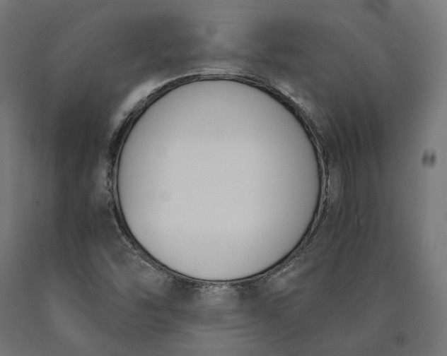 X0000090741454200708031535