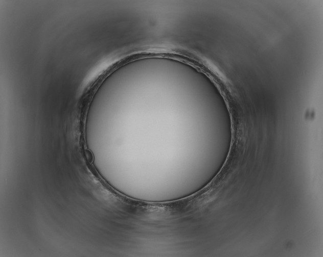 X0000090741456200708031535