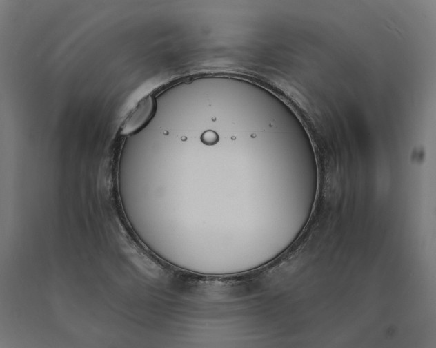 X0000090741458200708031535