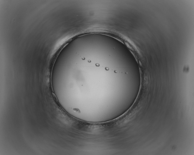 X0000090741461200708031535