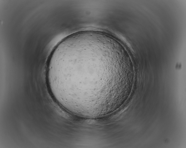 X0000090741463200708031535