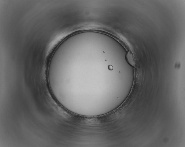 X0000090741464200708031535