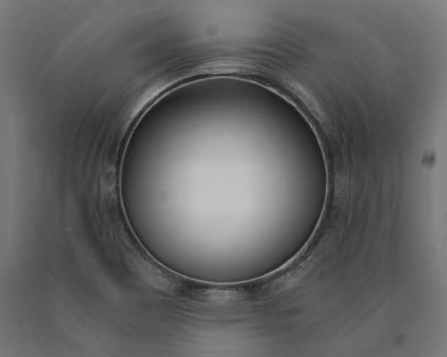 X0000090741465200708031535