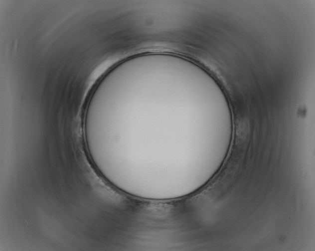 X0000090741466200708031535