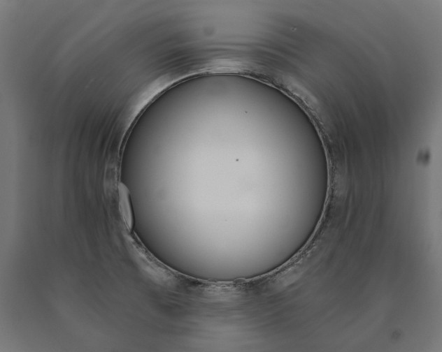 X0000090741473200708031535