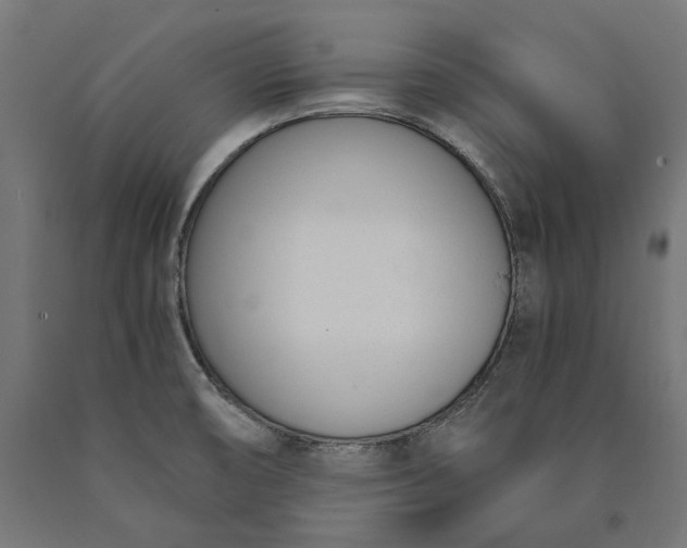 X0000090741474200708031535